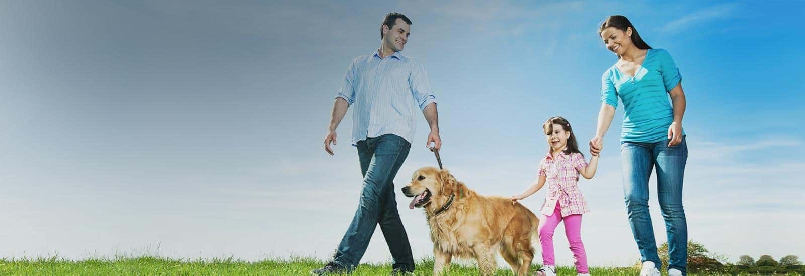 Happier, Healthier and Hopeful The most effective weight loss measure